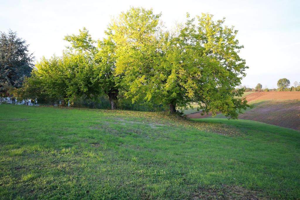 Villa Beatrice Pralormo Esterno foto